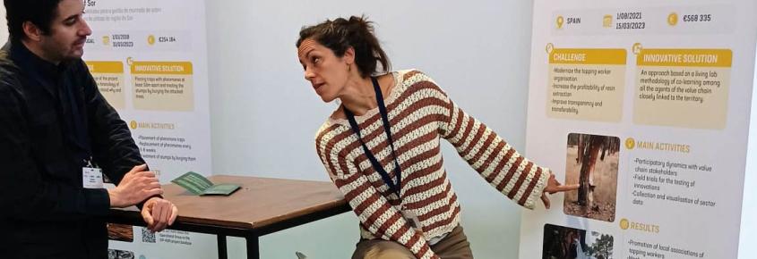 RESINLAB EN ESTORIL