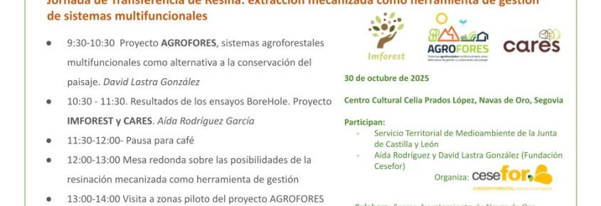 Cartel